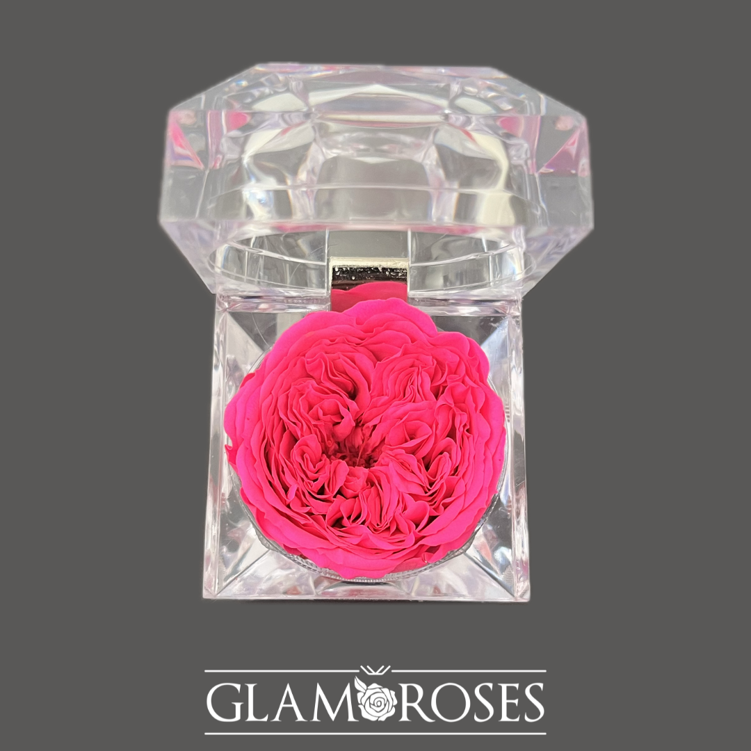 Joyero Rosa preservada