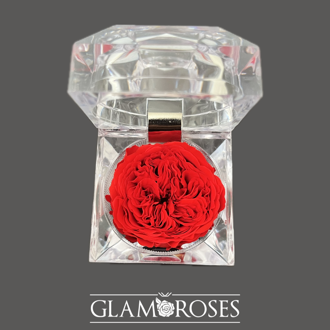 Joyero Rosa preservada
