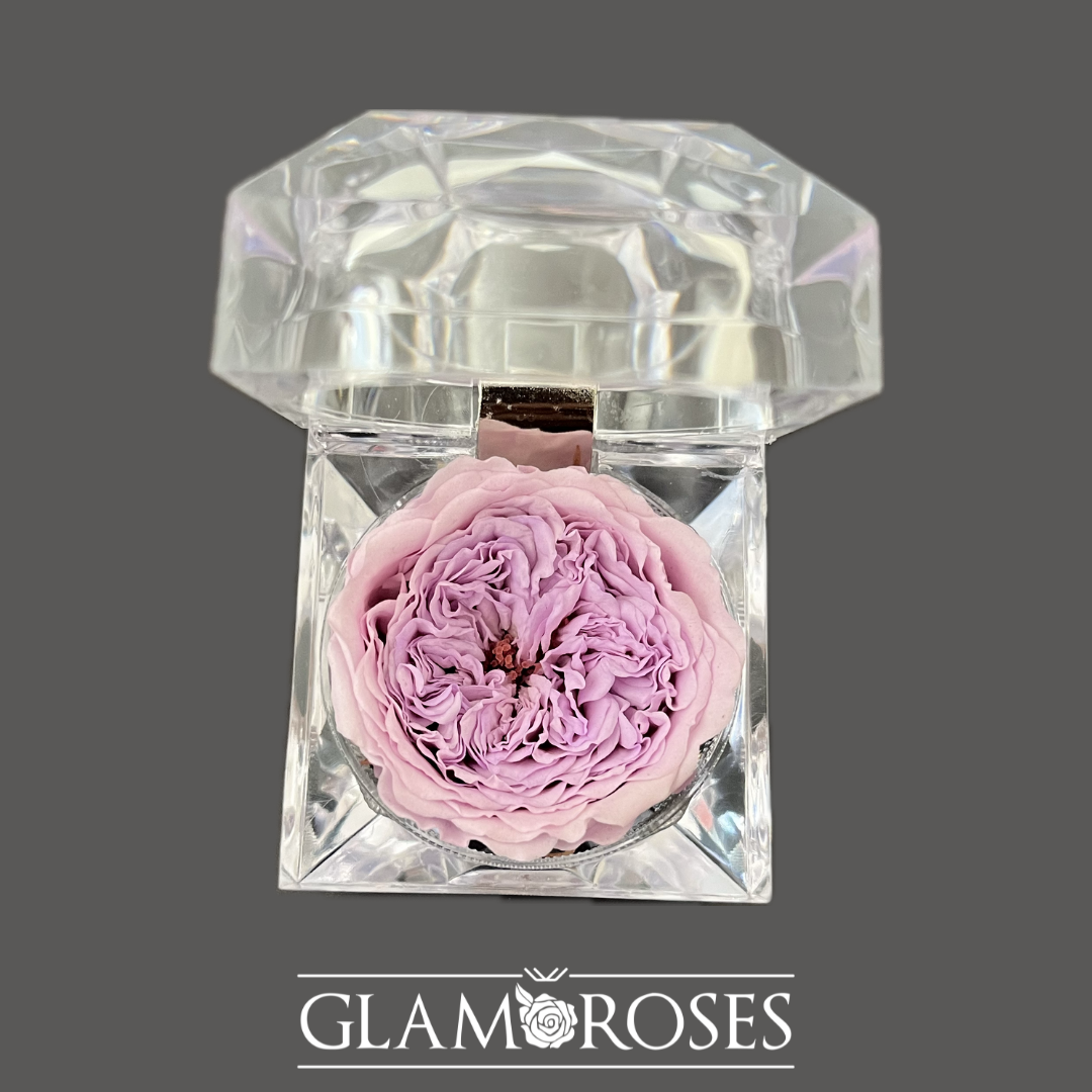 Joyero Rosa preservada
