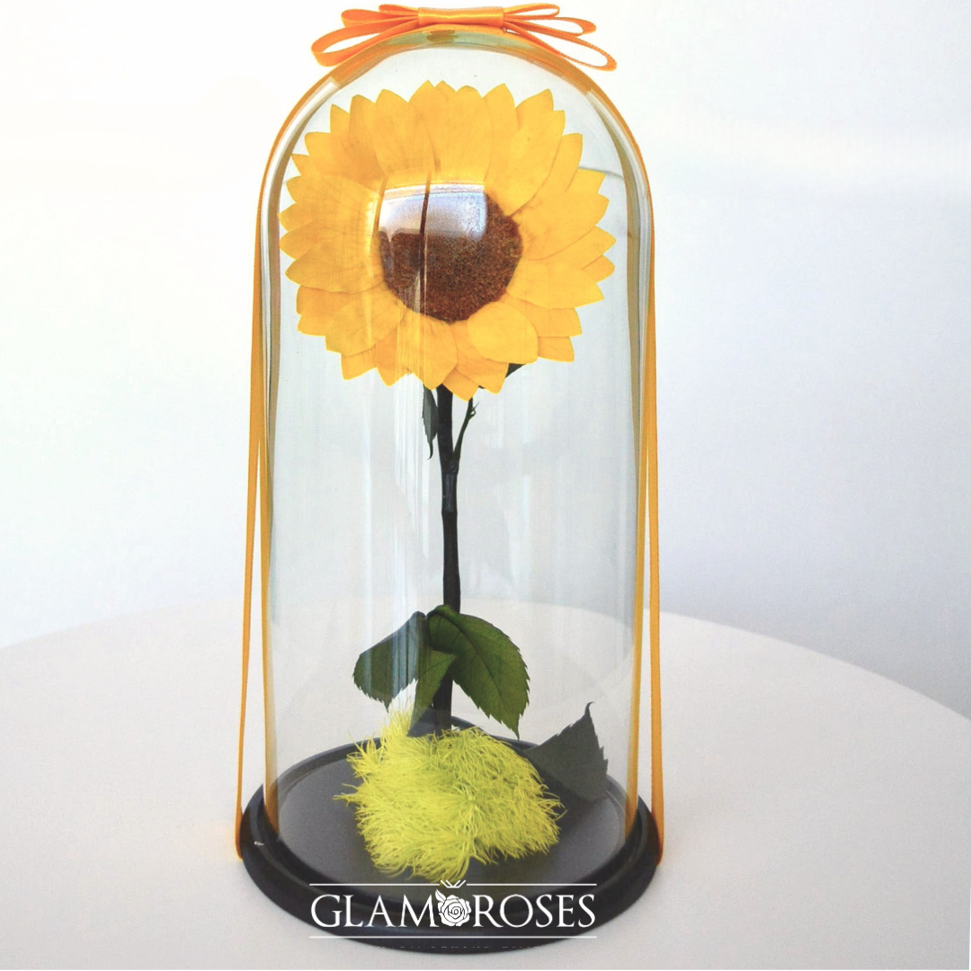 Cúpula con Girasoles