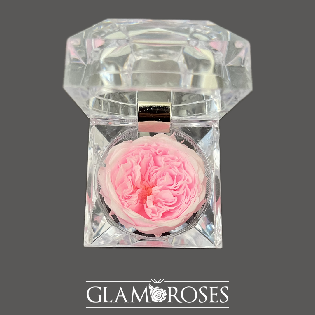 Joyero Rosa preservada