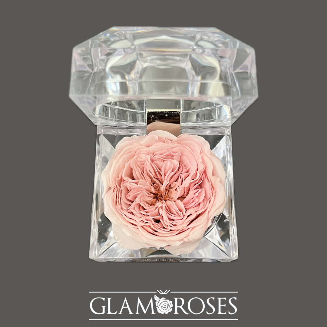 Joyero Rosa preservada
