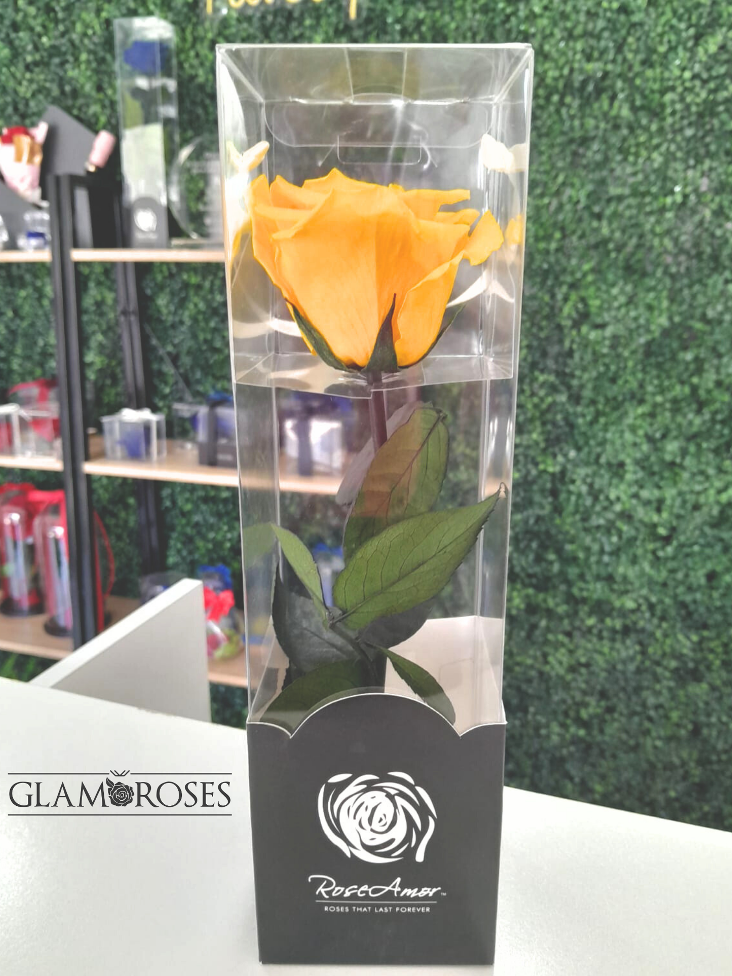 Rosa Amarilla con Tallo