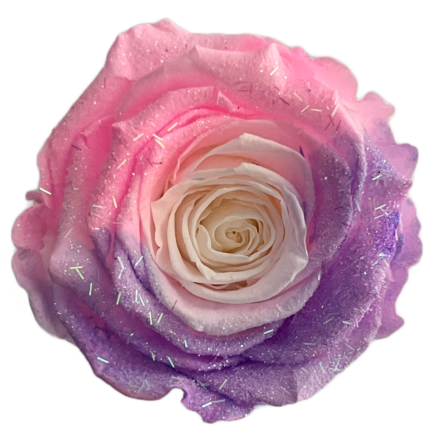Rosas XL Unidad