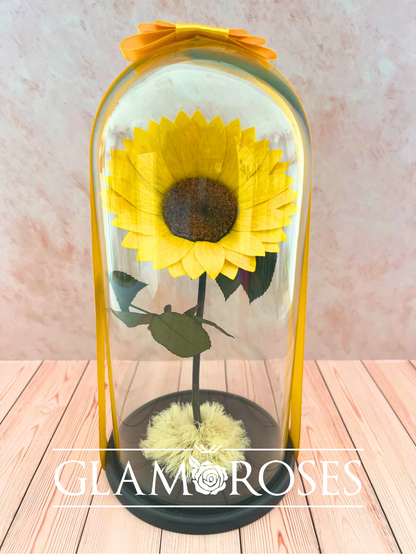Cúpula Vidrio con Girasol
