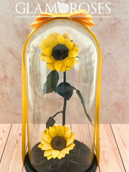 Cúpula Vidrio con Girasol