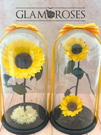 Cúpula Vidrio con Girasol