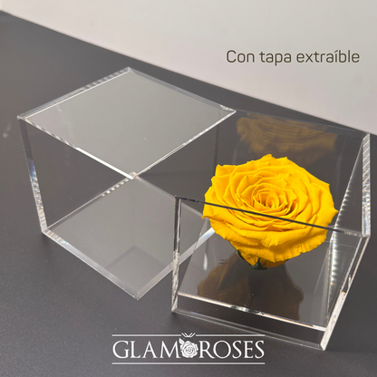 Rosa en Caja de Acrílico