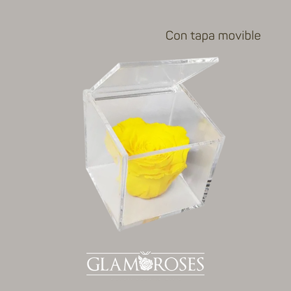 Rosa en Caja